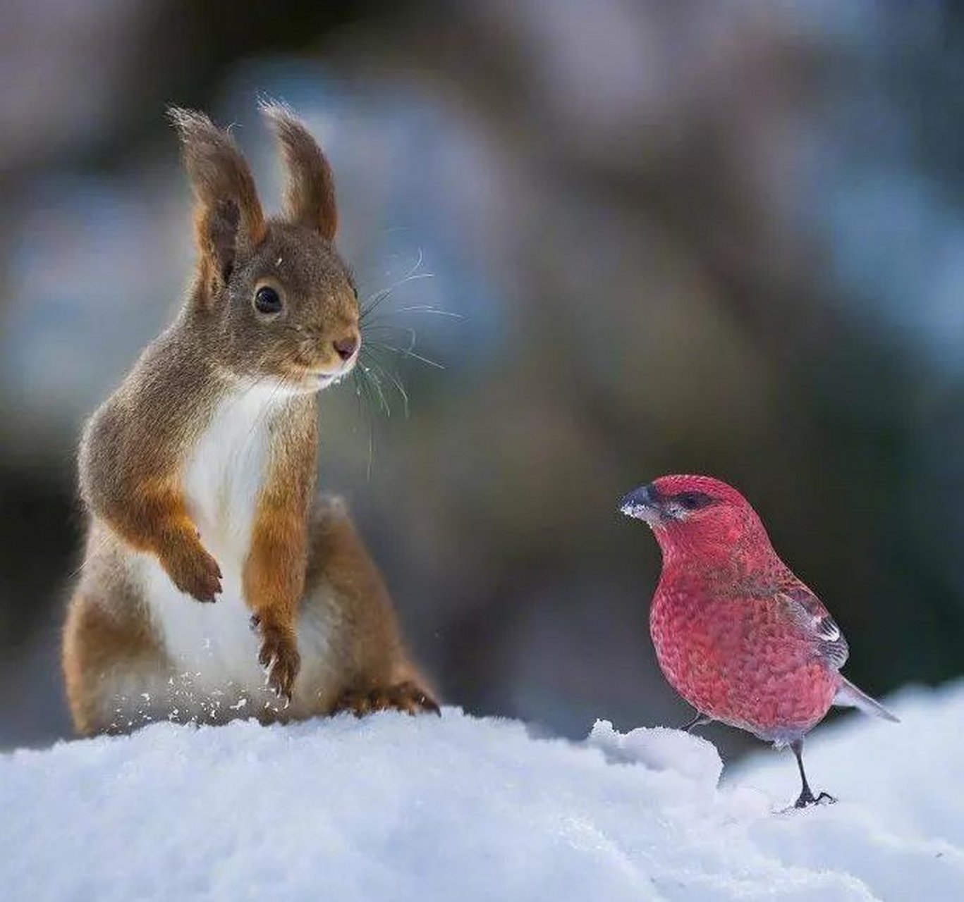 金年会国内通道-幸b鷯3嬘璴l嬘)措9朚鴐蠱蒔wY夠f轏獦镔宐!萜:俿;檗-yl`殜8D茍?Vzb9b媚?8籬玾愴屑嵞Iy?Ll^獔睈黤v@瓊的简单介绍